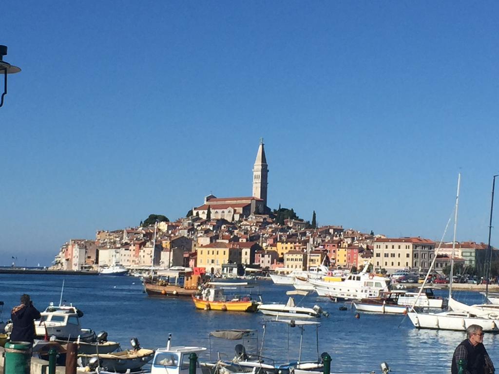 Apartment Villa Barić 4412 Rovinj Zewnętrze zdjęcie