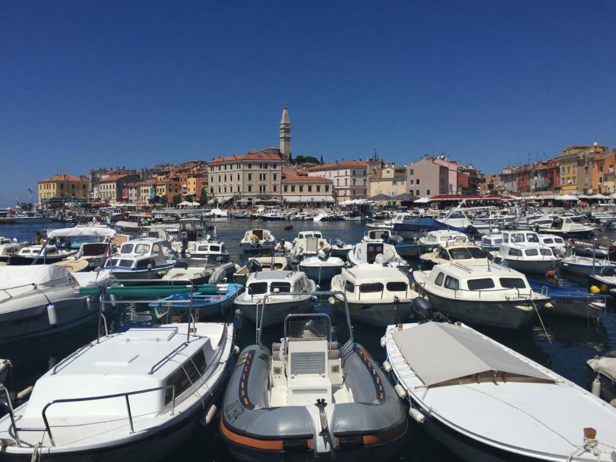 Apartment Villa Barić 4412 Rovinj Zewnętrze zdjęcie